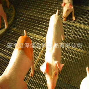 �S�� ĸ�i�a���W ©�S�Bֳ�W  �B�i܈���W  �L���׾���©�S��W