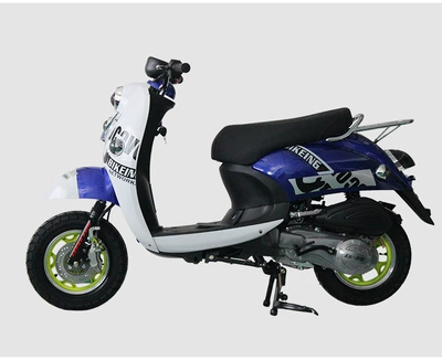 Little Turtle King Fuel Motosikletlər