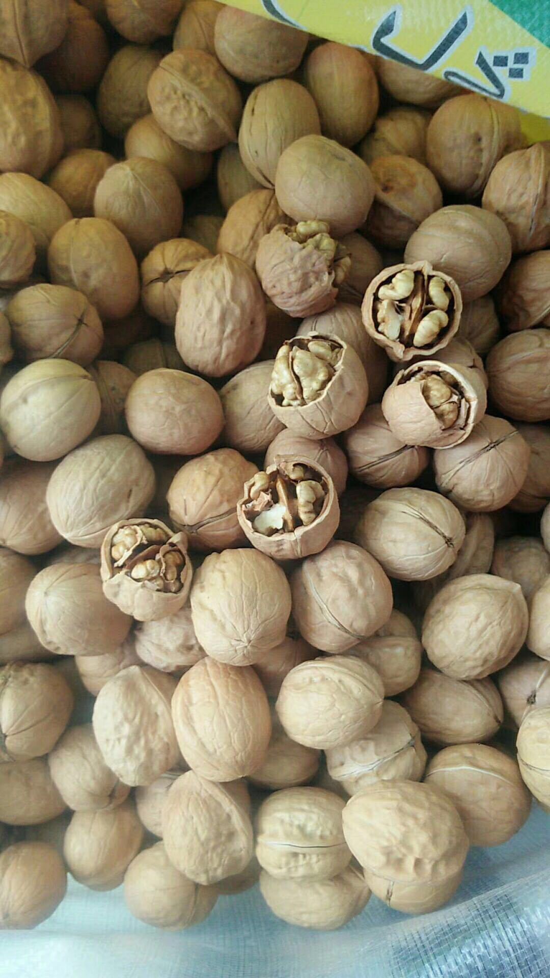 微信图片_20171026102526