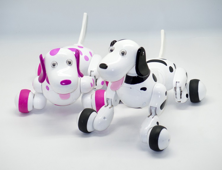 Remote Control Dog