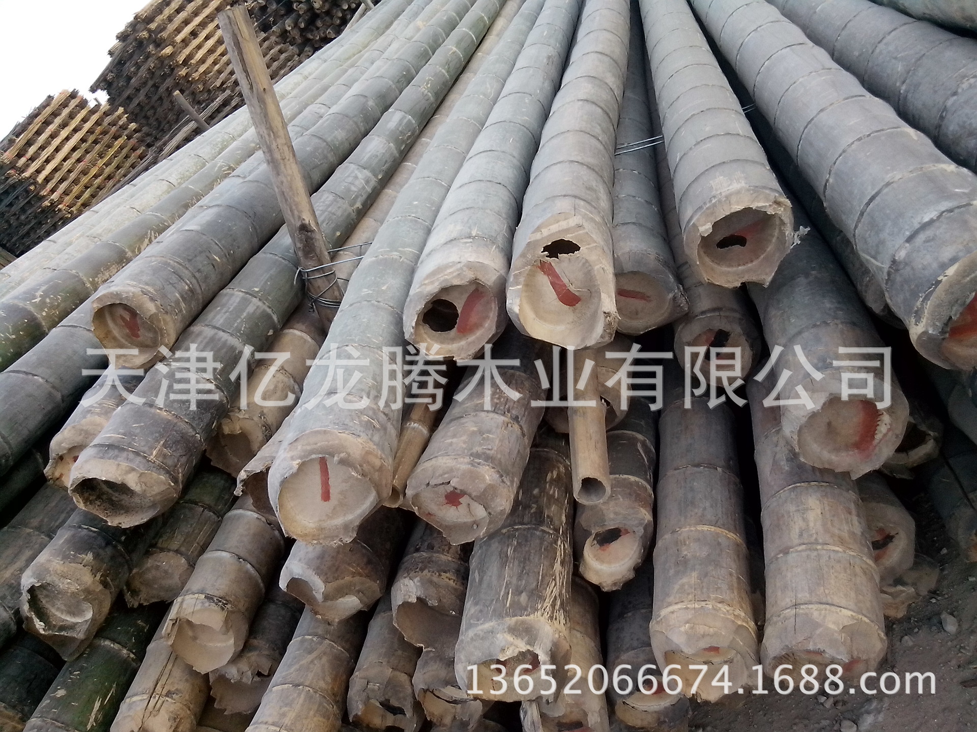 各种竹竿及杂竹的供应，包括置菜价竹、豆角架竹竿