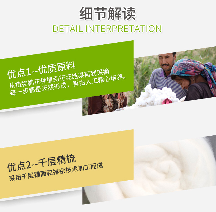 棉花新版_07