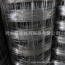 加工定做牛栏网草原围栏 圈羊网 畜牧养殖铁丝网果园围网