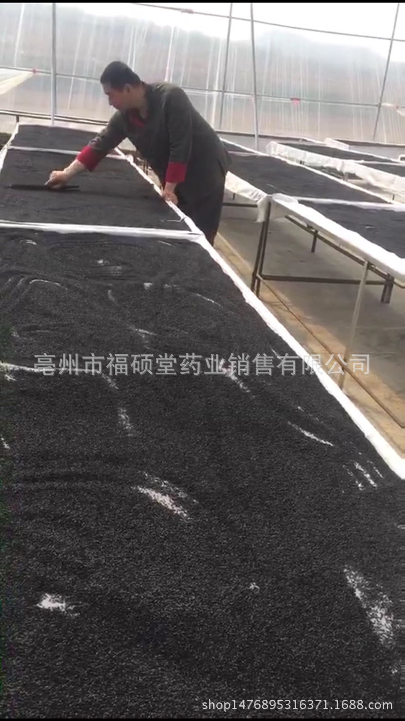 Nine-Steam Nine-Sun Black Sesame Balls (Sesamum indicum) — Honey Herbal Pills, Ready to Eat specifications