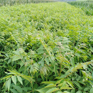 �㴻��r�� �������㴻�� �����ð����㴻���������u �t���㴻��