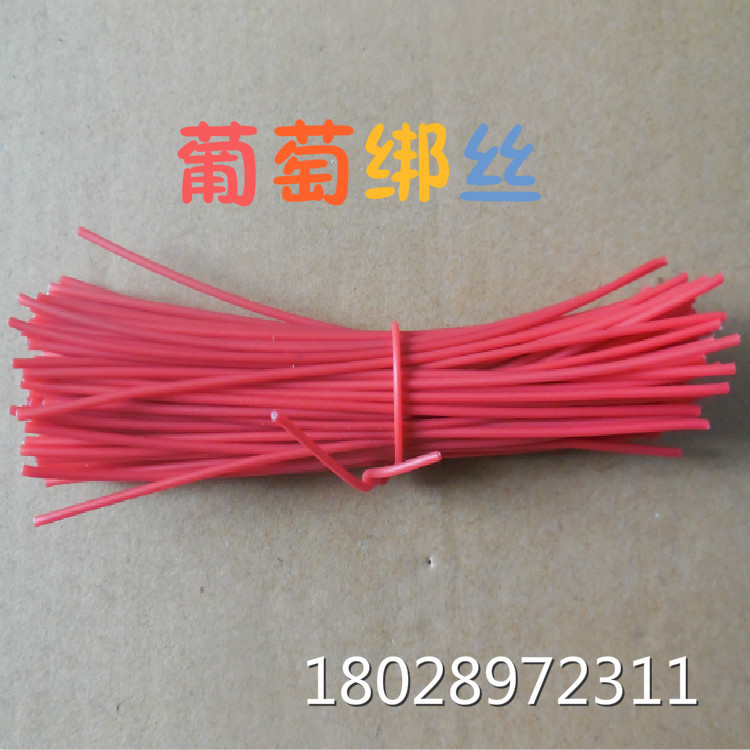 厂家热销葡萄扎线0.7铁丝扎线 包胶镀锌铁芯扎线带 葡萄园林扎丝