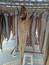 深海野生鰻魚干零添鰻魚干淡干海鮮干貨500克/包
