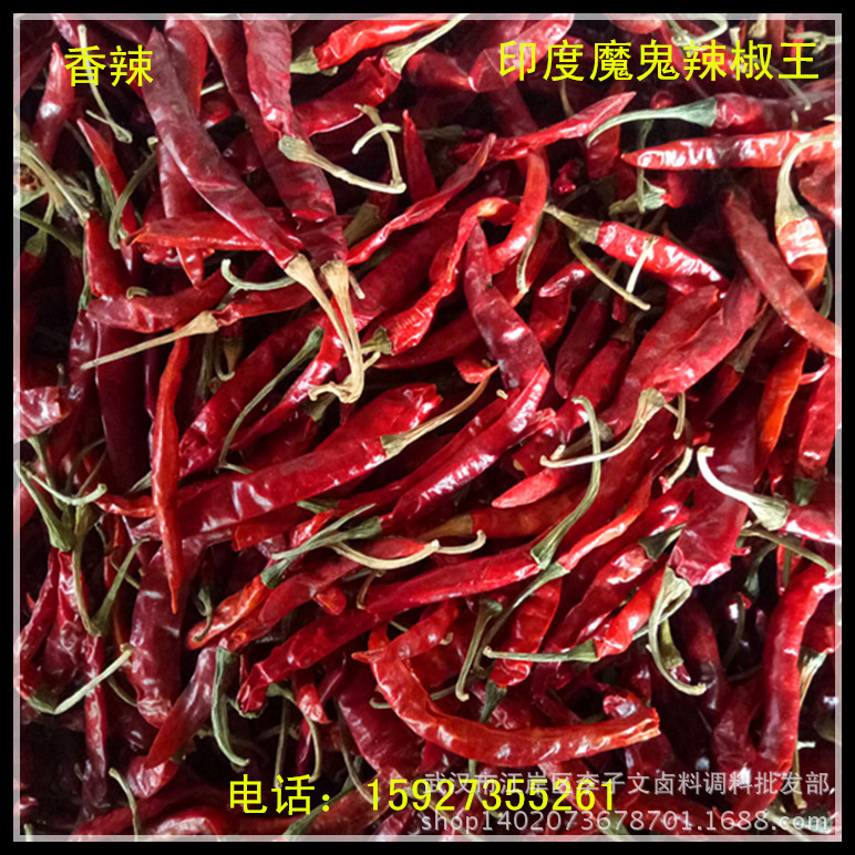 辣椒王印度魔鬼辣椒1000克香辣卤料干辣椒可磨辣椒粉面切辣椒段