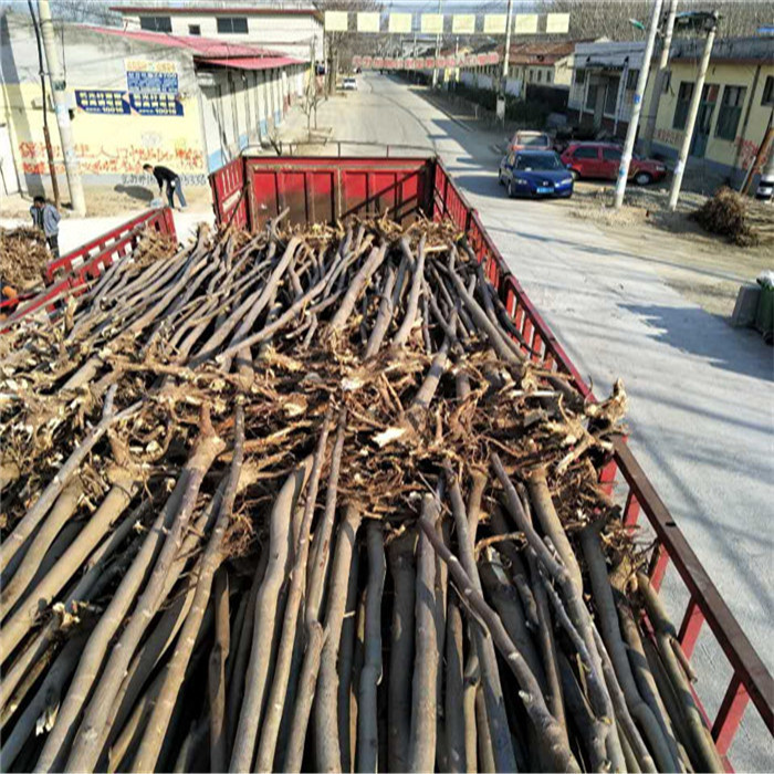 E23AF83D97F8F1F1758B6D36D4E857