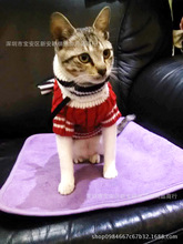 猫衣服宠物服装猫装扮服饰宠物针织毛衣猫咪服装猫用品小狗衣服