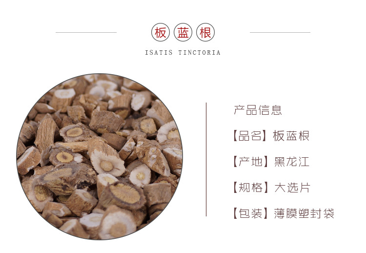Isatis Root Ban Lan Gen Dried Slices 500g TCM Herbal Decoction Ingredient overview