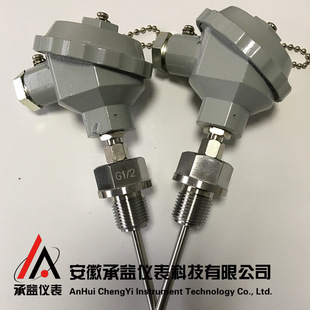 PT100ضȂ WZP-236 ̶ݼy K PT100 