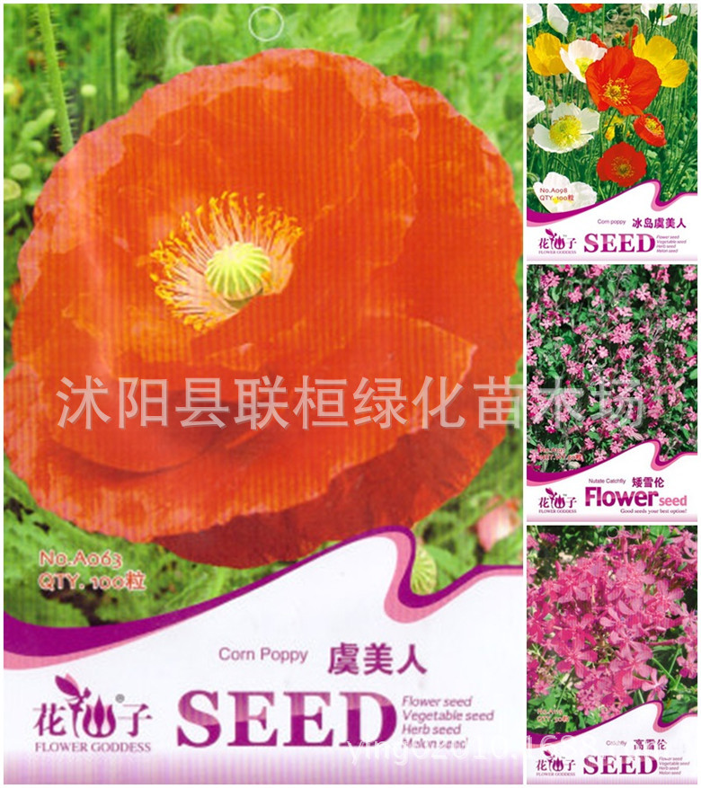 虞美人花种子观赏花卉阳台庭院盆栽满园春丽春花高雪伦矮雪轮 阿里巴巴