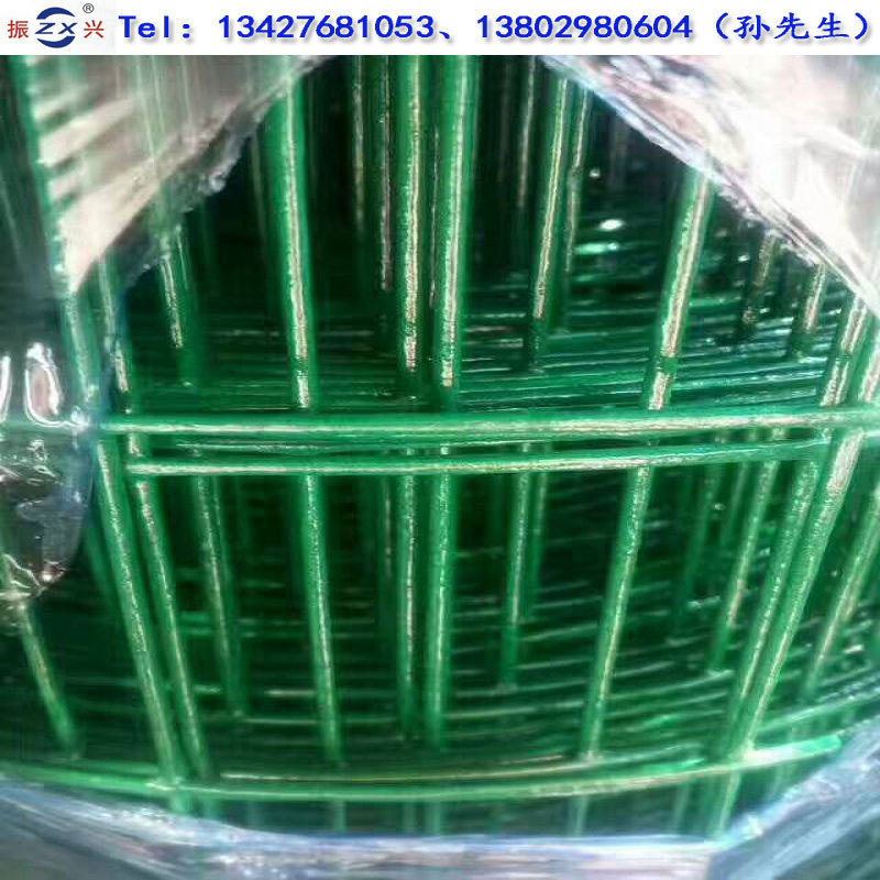 现货圈鸡围栏 养殖场圈果园荷兰网  优质荷兰网 绿色浸塑荷兰网