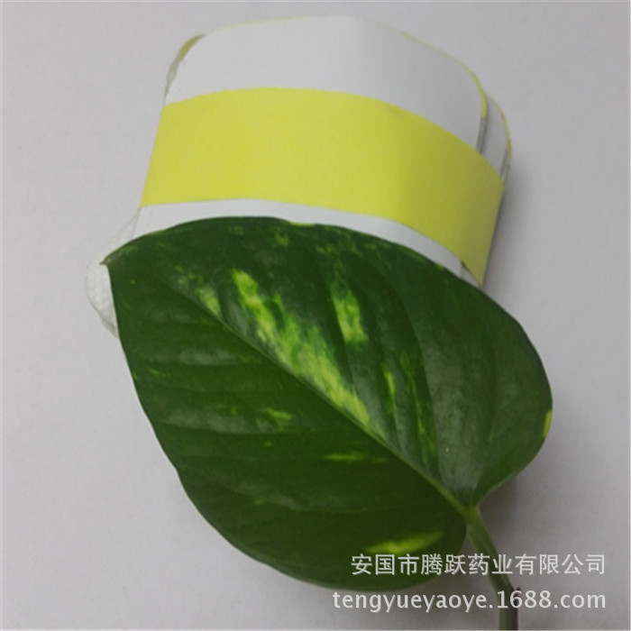 San Fu Tie Acupoint Belly Patch Blank Non-Woven Plaster Base 7x7cm 3cm Inner Ring quality and texture