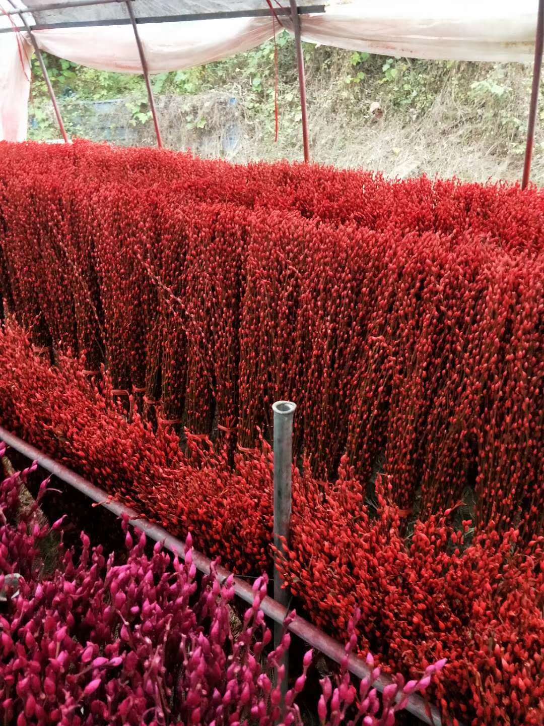 微信图片_20171212094748