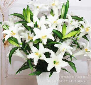 ���lpu������ˮ�ٺϻ� �͏d���Ҽ����bٻ� 5�^3��2���ֹ�����