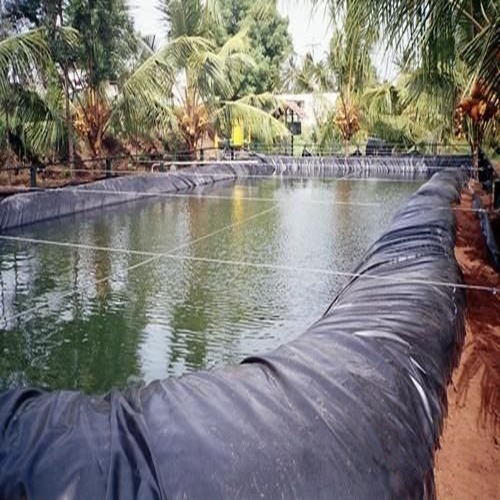Manufactor Direct selling Geomembrane Yuchi waterproof Lotus pool breed Impermeable membrane fish pond Dedicated
