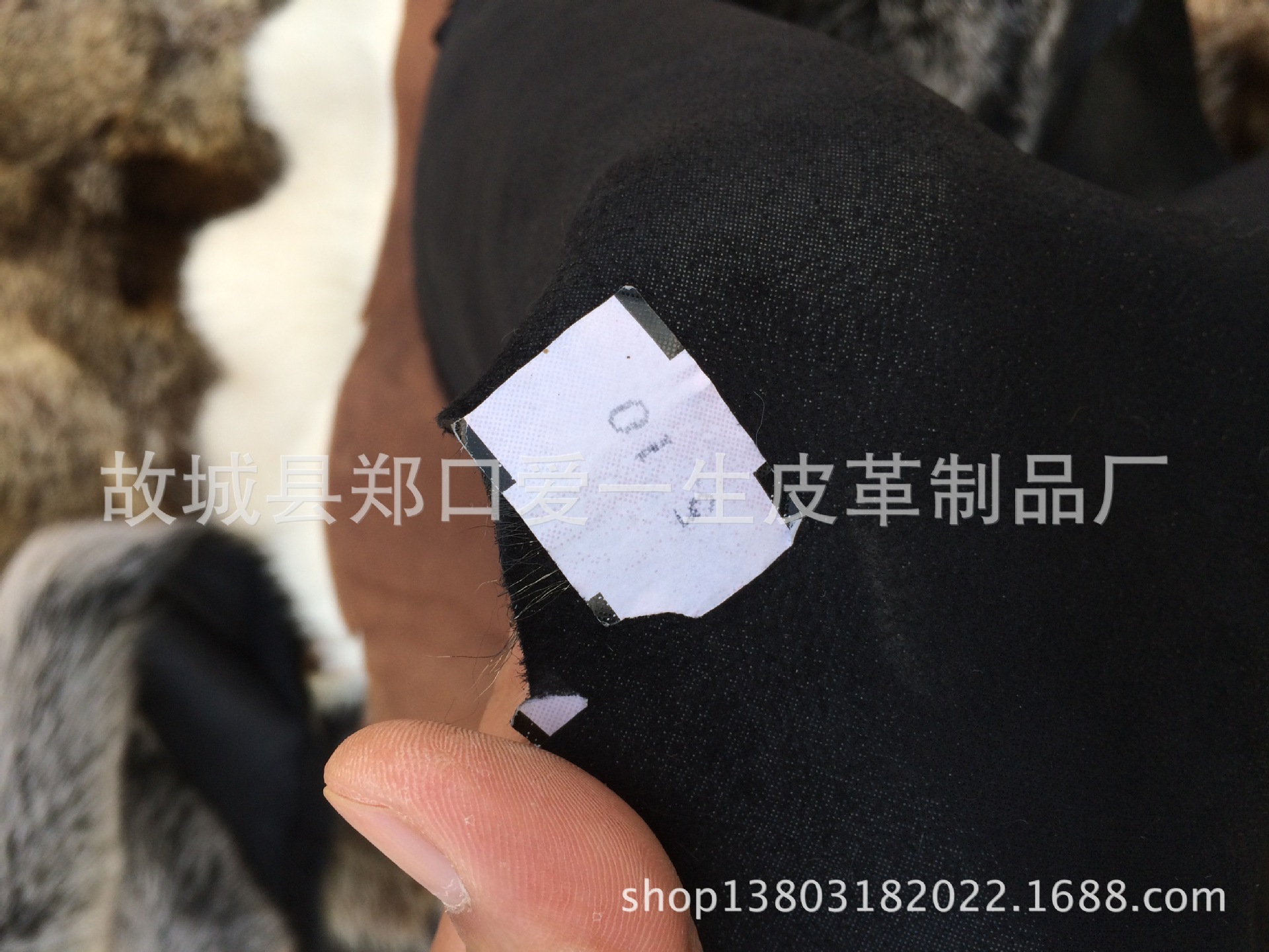 IMG_6224[1]