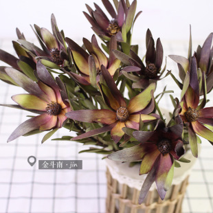 �M��ľ�ٺϸɻ��߶˻��ļҾӵ�䁻�ƿ�廨�[�O�������仨�Ĕz����