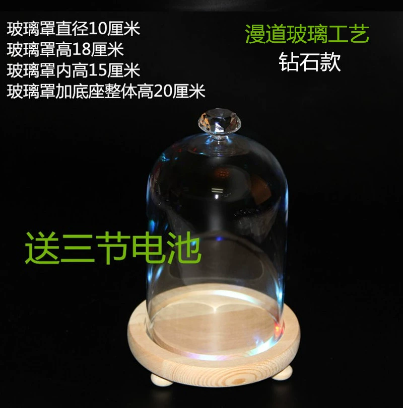 DIY Forever Life Flower Multicolor Lamp Base Glass Cover Fresh-keeping Flower Cover Cake Cover Mini Landscape Glass Vase Manufacturer