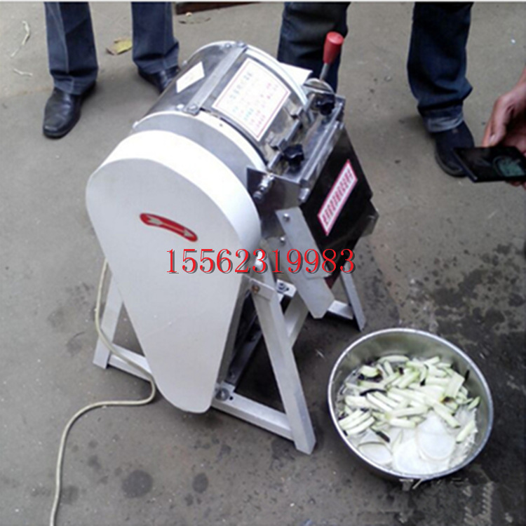 广州酸笋切丝机 豆角蒜苔切段机 香菇切丁机参数