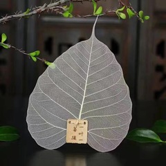 Natural Bodhi Leaf Vein Tea Strainer, Creative & Unique Tea Ceremony Accessory