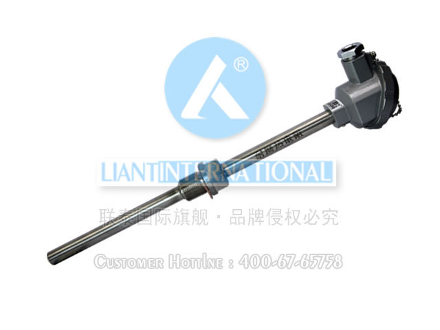 WZP2-230 装配式双支铂热电阻 中天