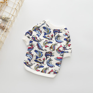 ��ϵ�����H���b������·�̩��ѩ�{��؈����T�����lһ�����l