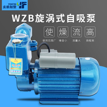 上海永帆 自吸泵家用小型卧式水泵 抽水泵高揚程220VWZB 廠家銷售