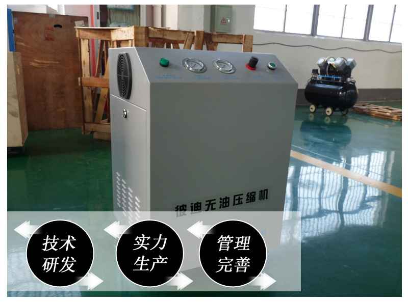 Oil-Free and Water-Free Air Compressor Laboratory Scientific Research Semiconductor Dryer Sterilization and Deodorization Food Grade Air Compressor