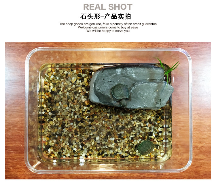 爬宠躲避树脂_08