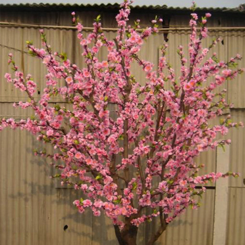 ������֦����ֱ���Ҿ�װ�λ���������·��ز�װ������