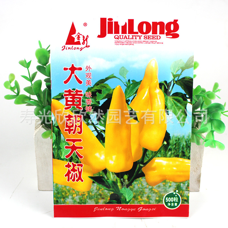 高产大黄朝天椒种子：早熟浓辣型，大果黄皮尖椒批发