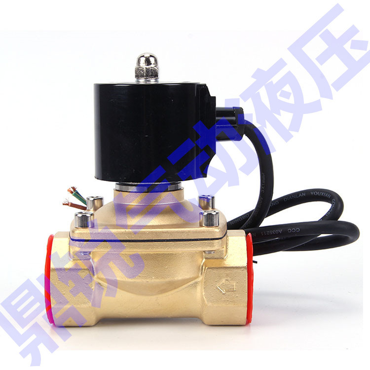2W160-15 2W200-20 2W250-25 2W350-35 二位二通电磁阀
