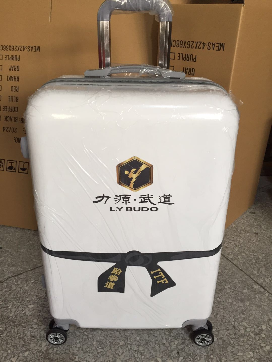 厂家批发拉杆箱定制logo公司礼品旅行箱万向轮行李箱可爱儿童箱包-阿里巴巴