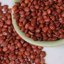 ���l�͜غ決�� �ᗗ�� ���a؛��ș�ďS�� �o�s �ᗗ�� ����ă�