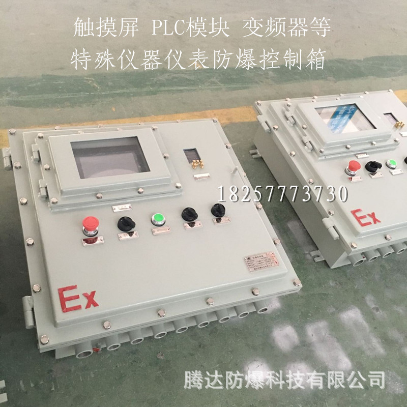 乐清防爆仪表控制箱 照明动力配电箱BXK58-t 触摸屏箱 厂家