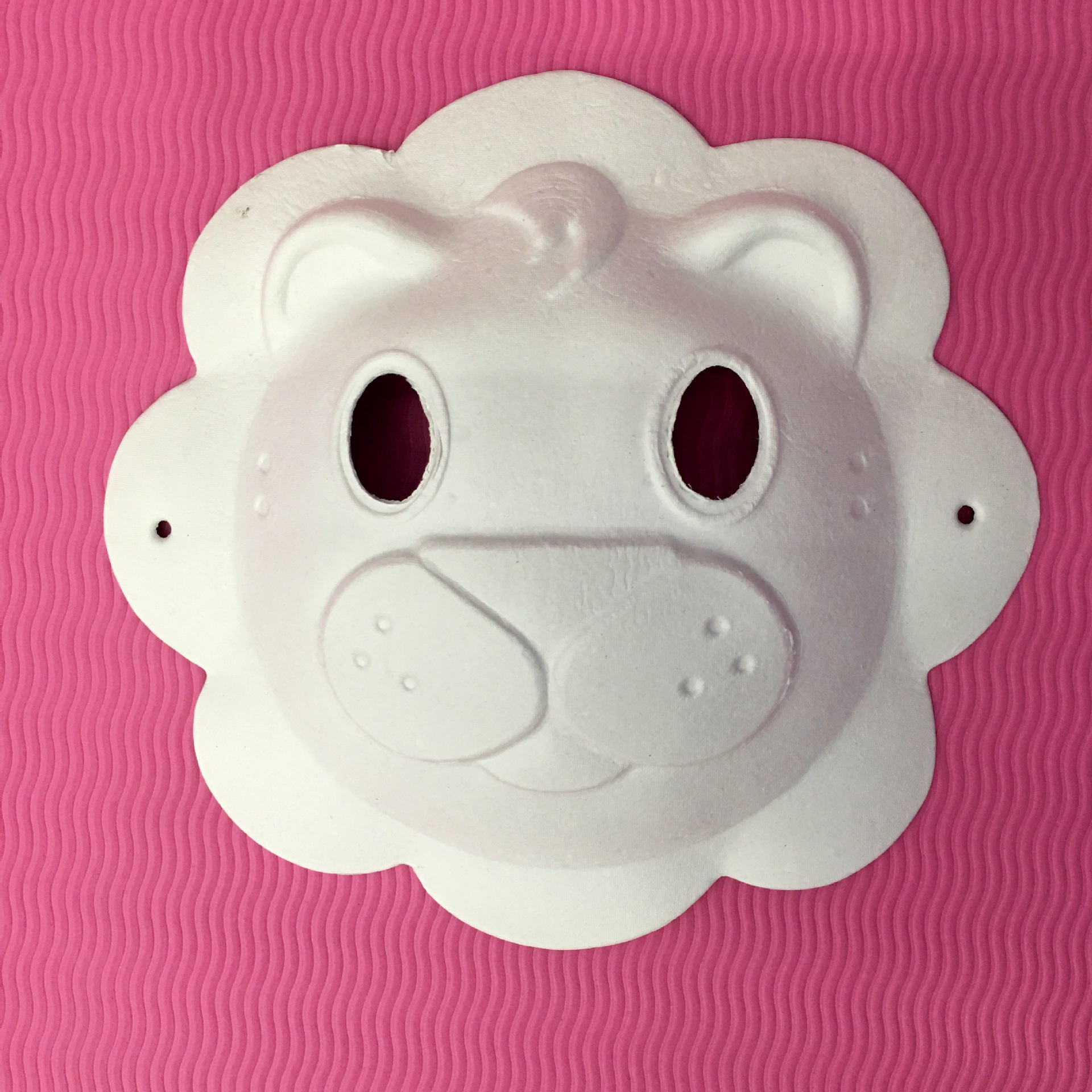 IMG_1893(20170228-141014)