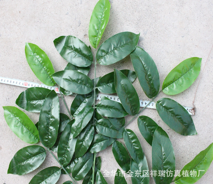 XRB-007五叉核桃叶平面枝1