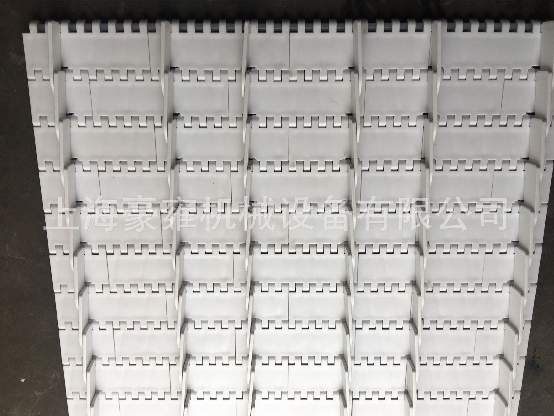 OPB平板塑料网带  裙边塑料网带 裙边式网带分道链