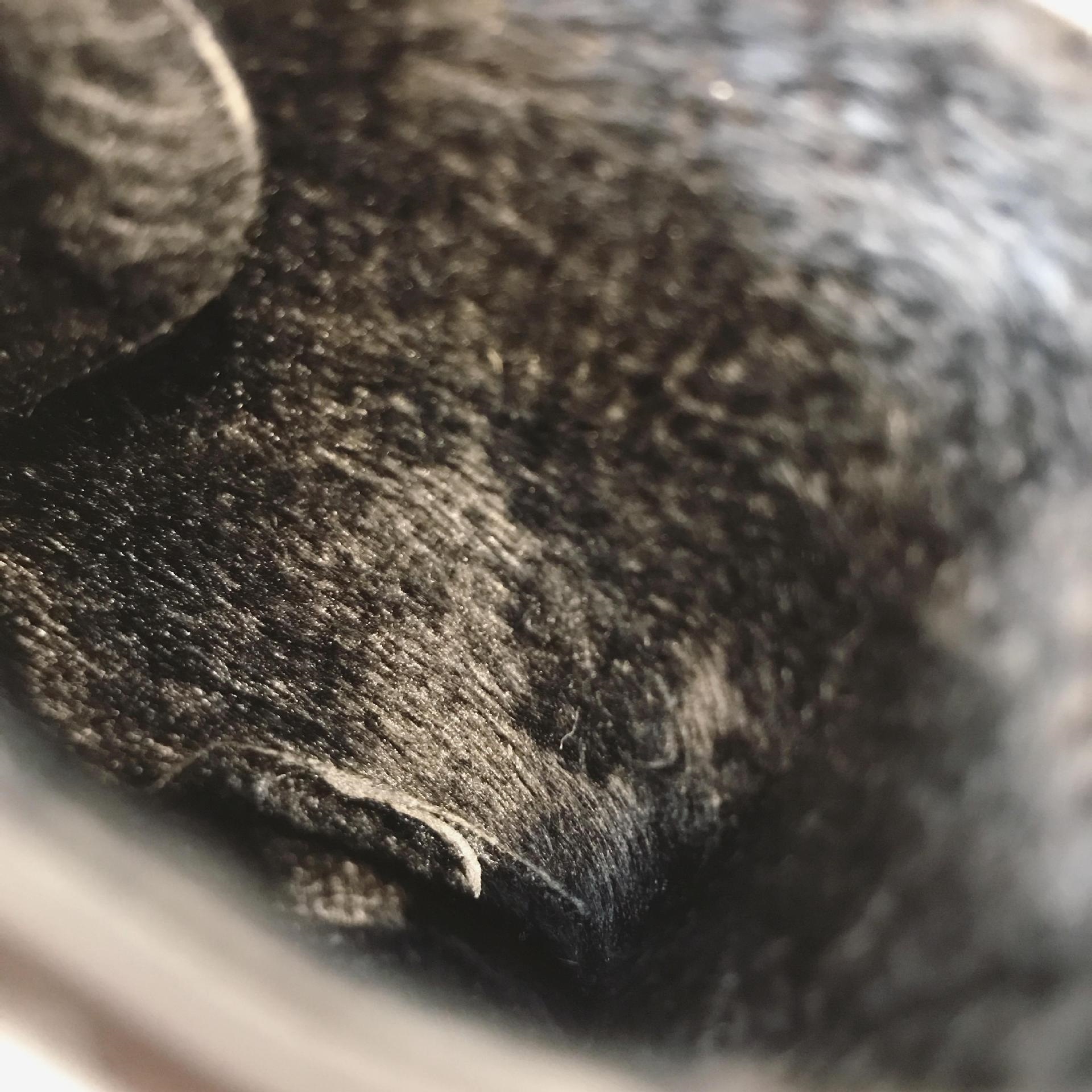 Bottes femme en PU - Ref 3355213 Image 36