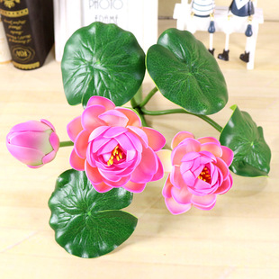 ����ɻ� �����ָкɻ� �Ҿ��b���ɻ����l ���빩������ɻ�