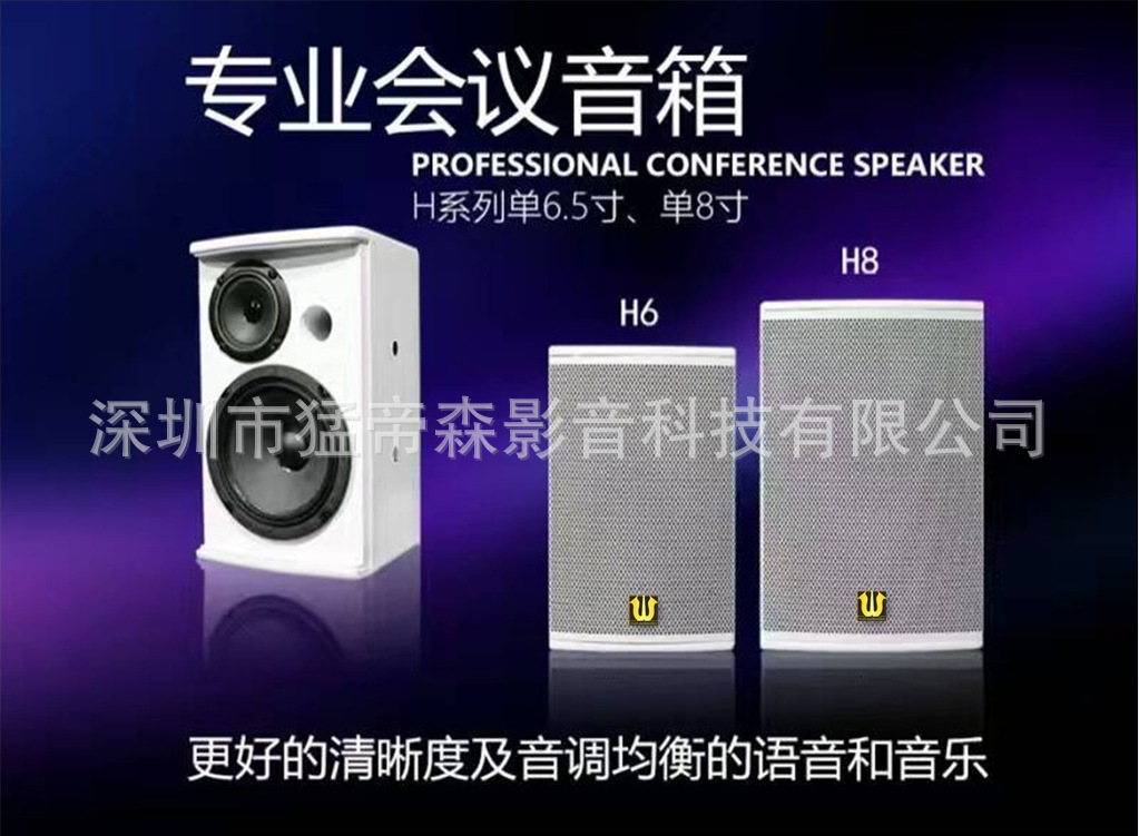 会议室音响扩音器材厂家直销总代理舞蹈室培训室音箱卡包音箱