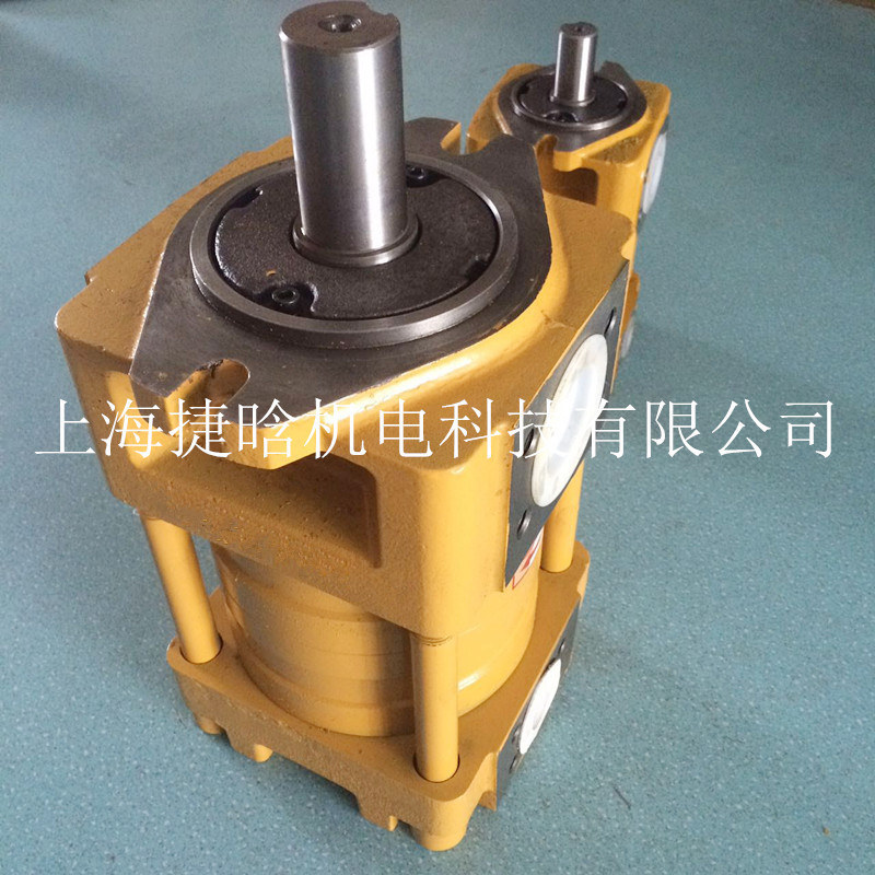 直线共轭内啮合齿轮泵 NT3-D32F 液压泵 陶瓷机设备油泵