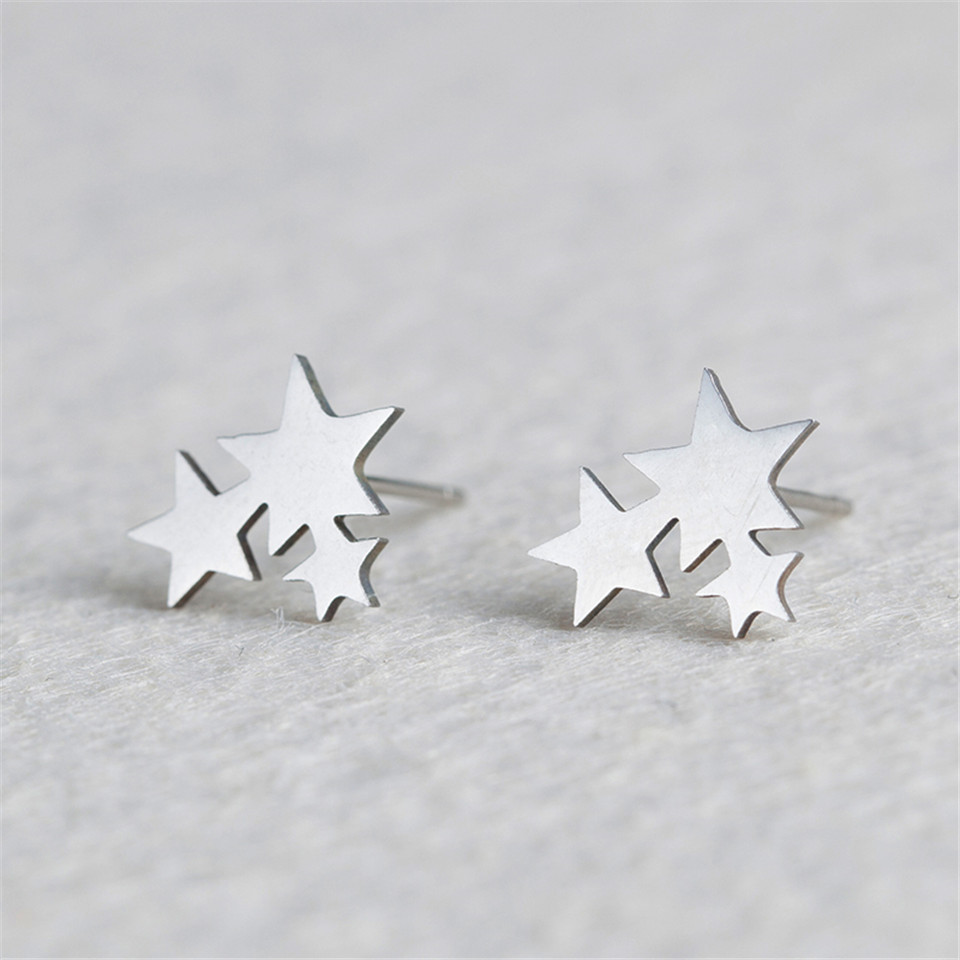 Fashion Star Stainless Steel No Inlaid Earrings Ear Studs display picture 6