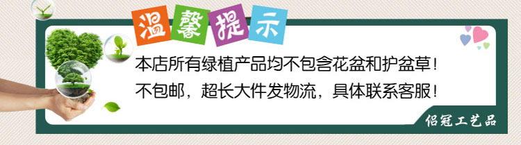 QQ图片20170826081113