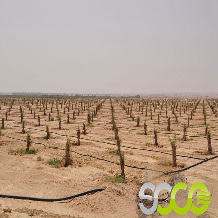 Factory wholesale Organic Planting soil Drought High yield Aquasorb