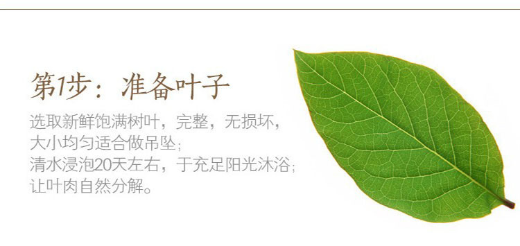 Natural Leaves Gold-Plated Long Necklace Personalized Simple Leaf Sweater Chain detail image 10