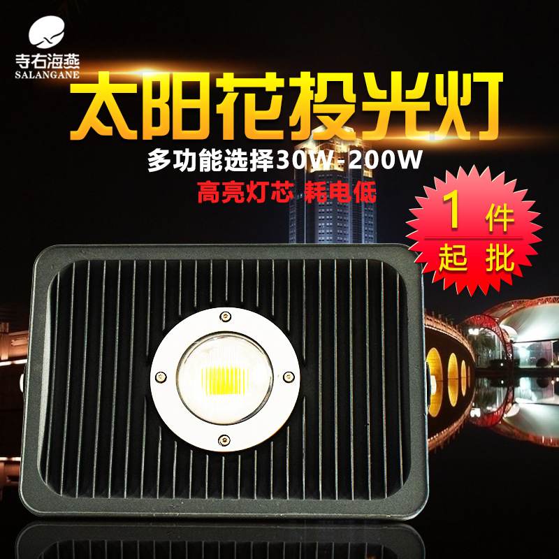 LED投光灯100w户外防水 足瓦 50w泛光灯太阳花 广告球场灯批发|ru